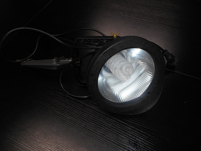 dscn2400